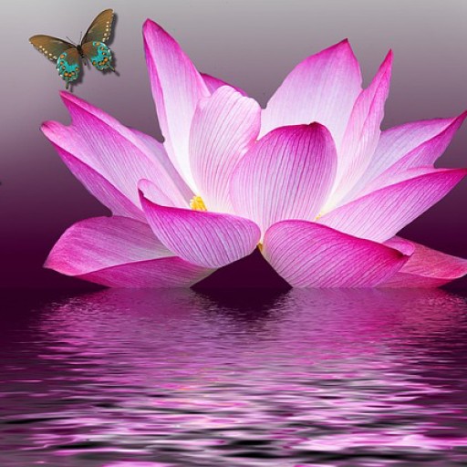 Levanah Acupuncture